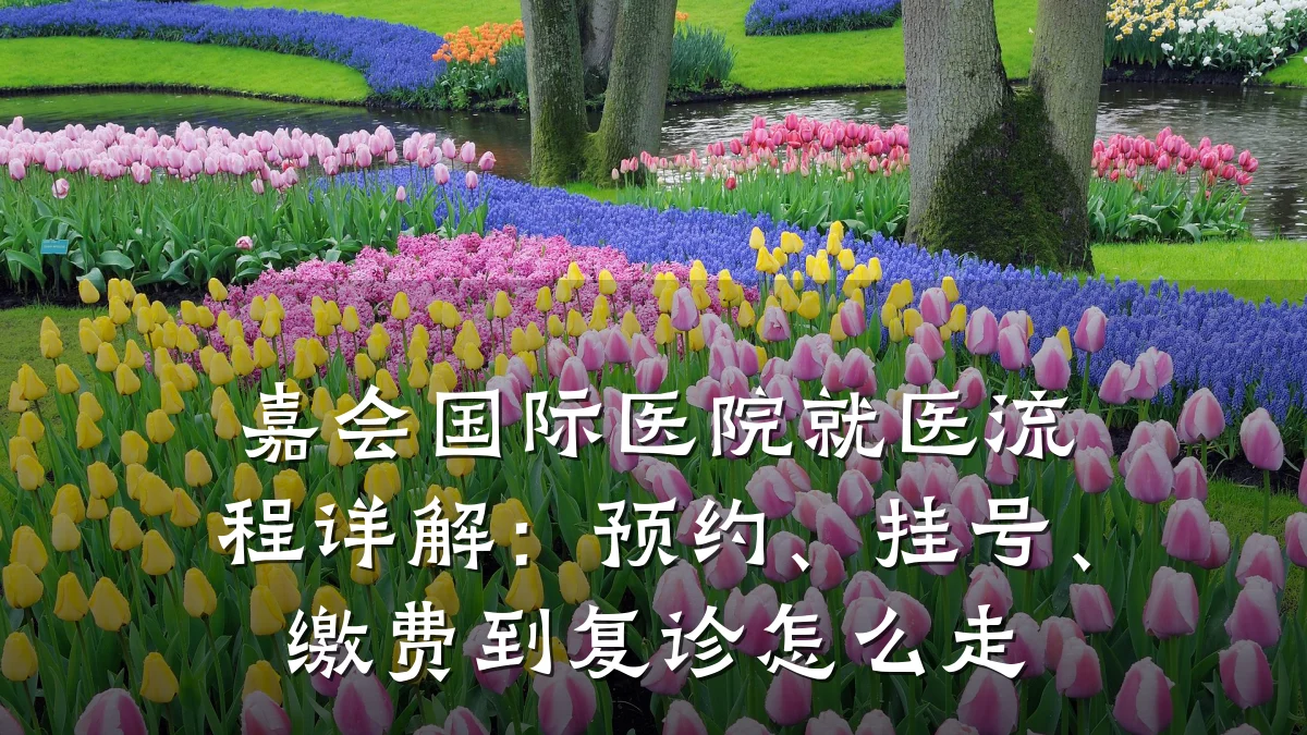 嘉会国际医院就医流程详解：预约、挂号、缴费到复诊怎么走