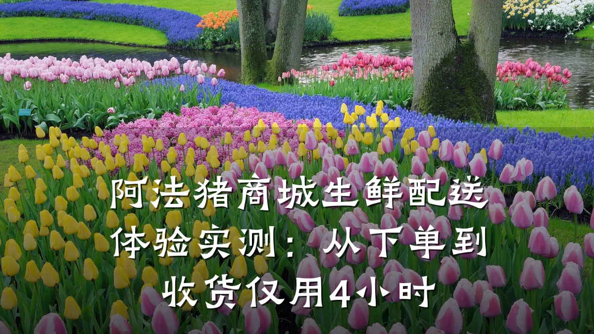 阿法猪商城生鲜配送体验实测:从下单到收货仅用4小时