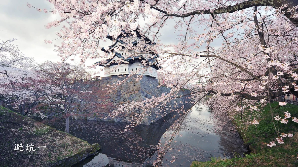 避坑一