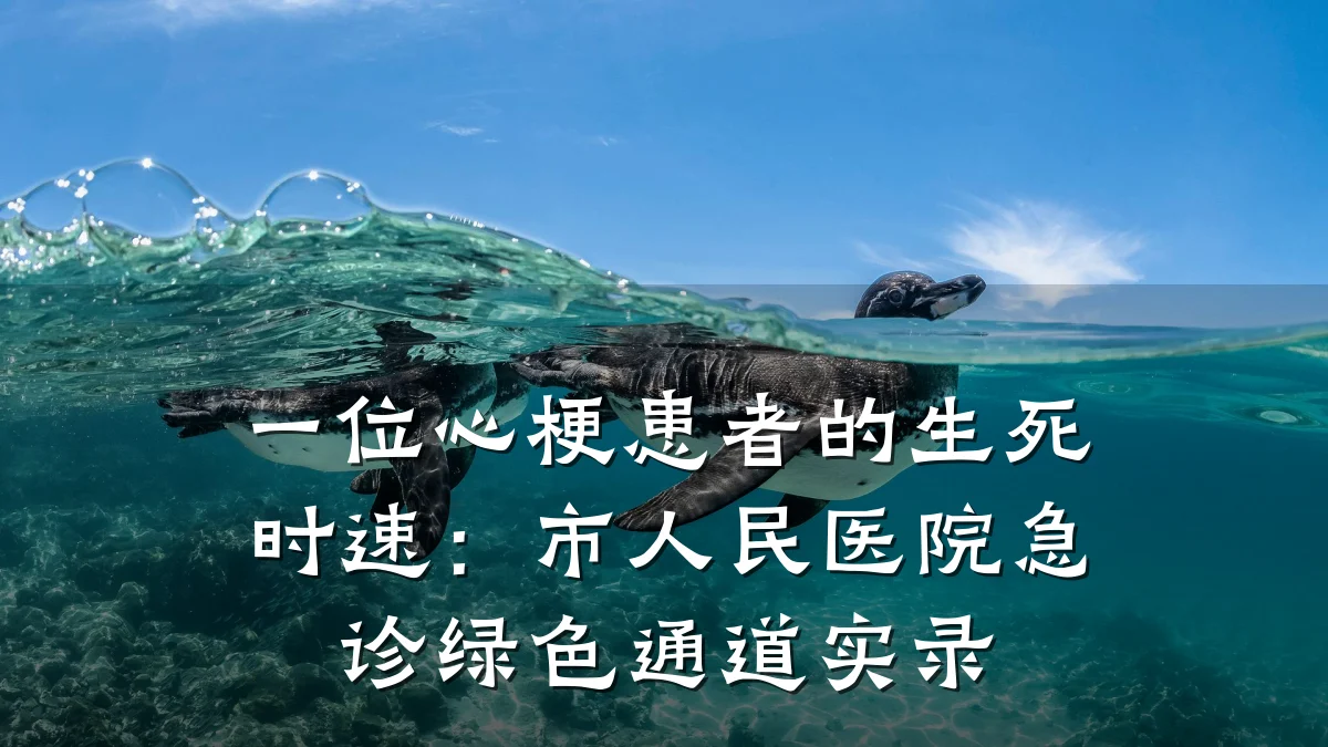 一位心梗患者的生死时速:市人民医院急诊绿色通道实录