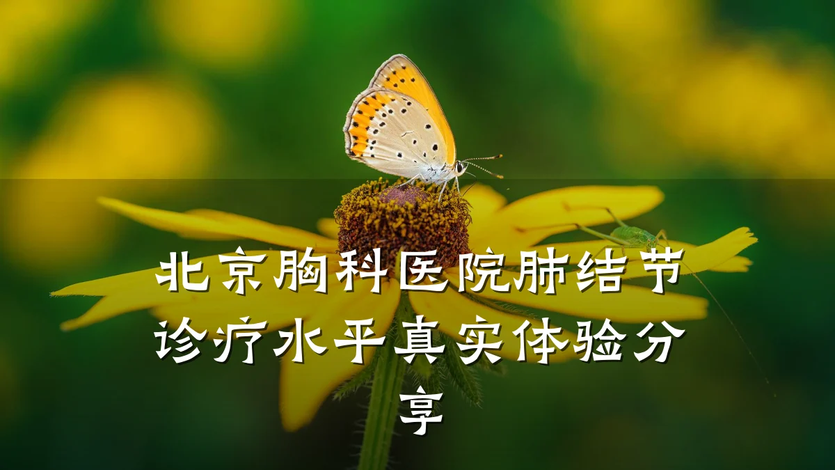 北京胸科医院肺结节诊疗水平真实体验分享