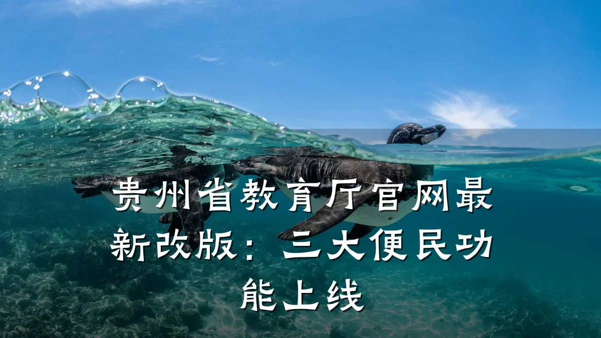 贵州省教育厅官网最新改版：三大便民功能上线