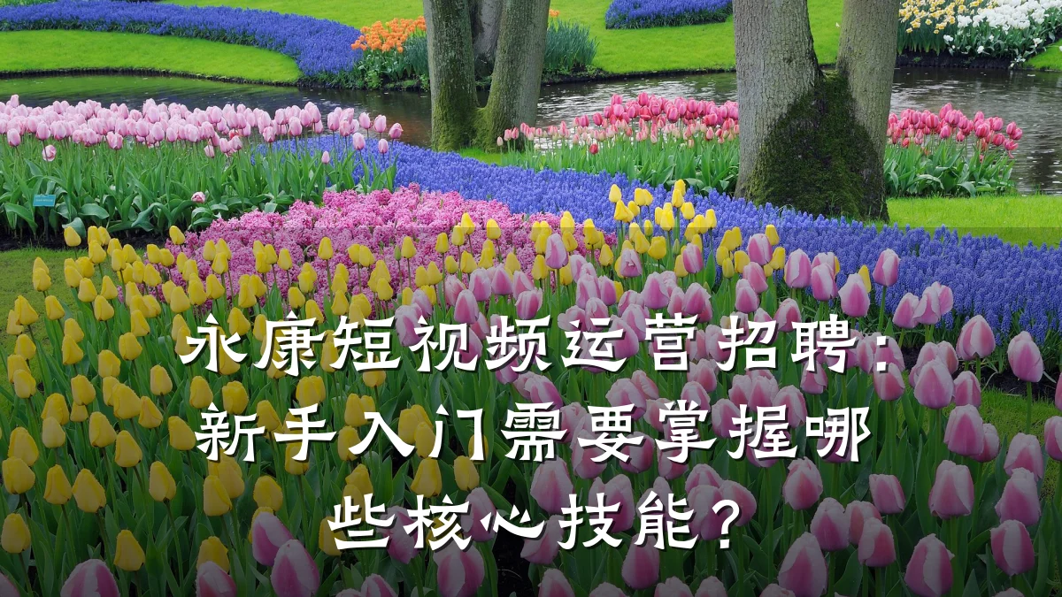 永康短视频运营招聘:新手入门需要掌握哪些核心技能?