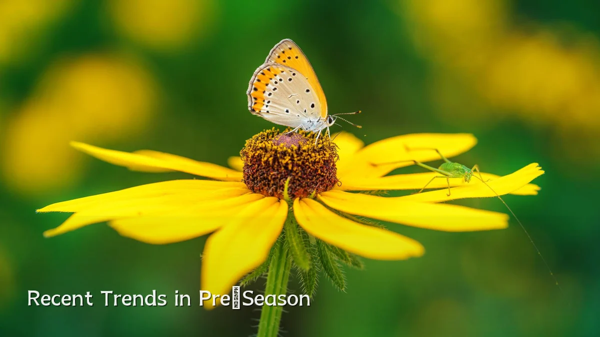 Recent Trends in Pre‑Season