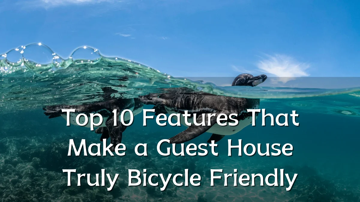 Top 10 Features That Make a Guest House Truly Bicycle Friendly