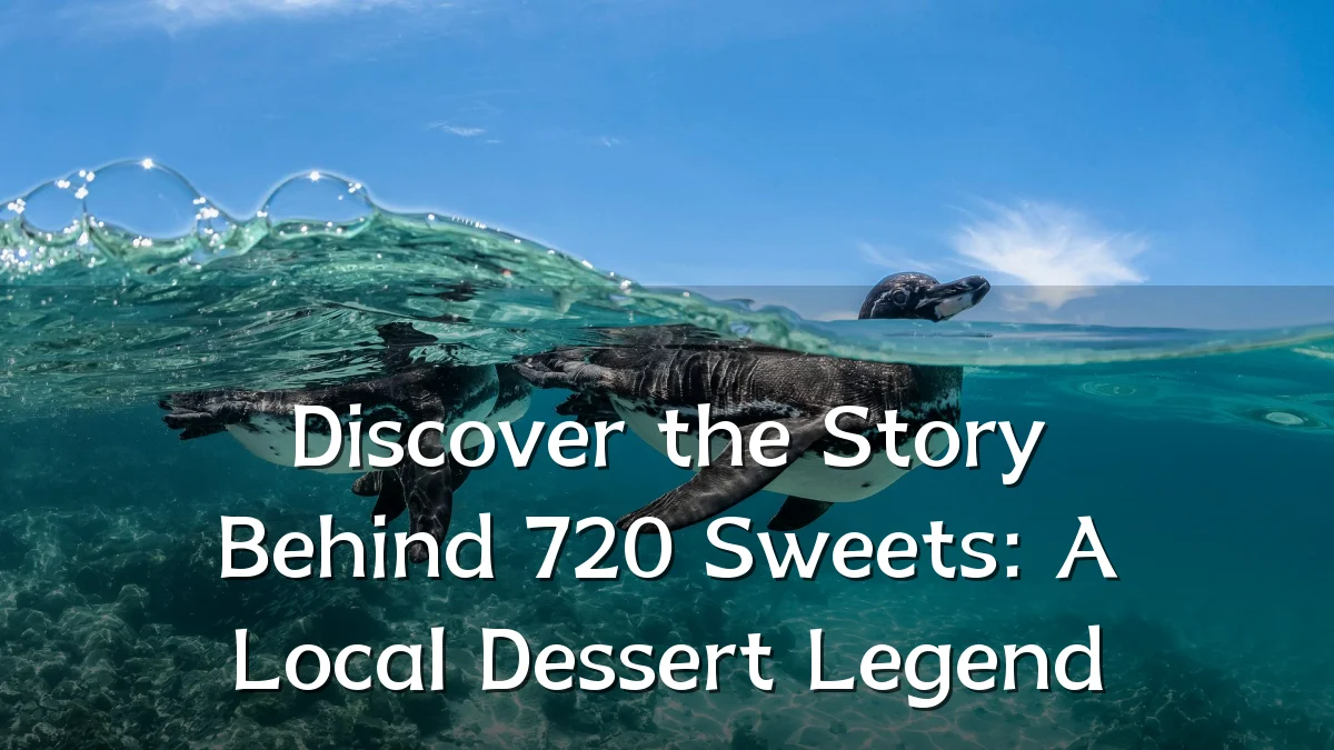 Discover the Story Behind 720 Sweets: A Local Dessert Legend