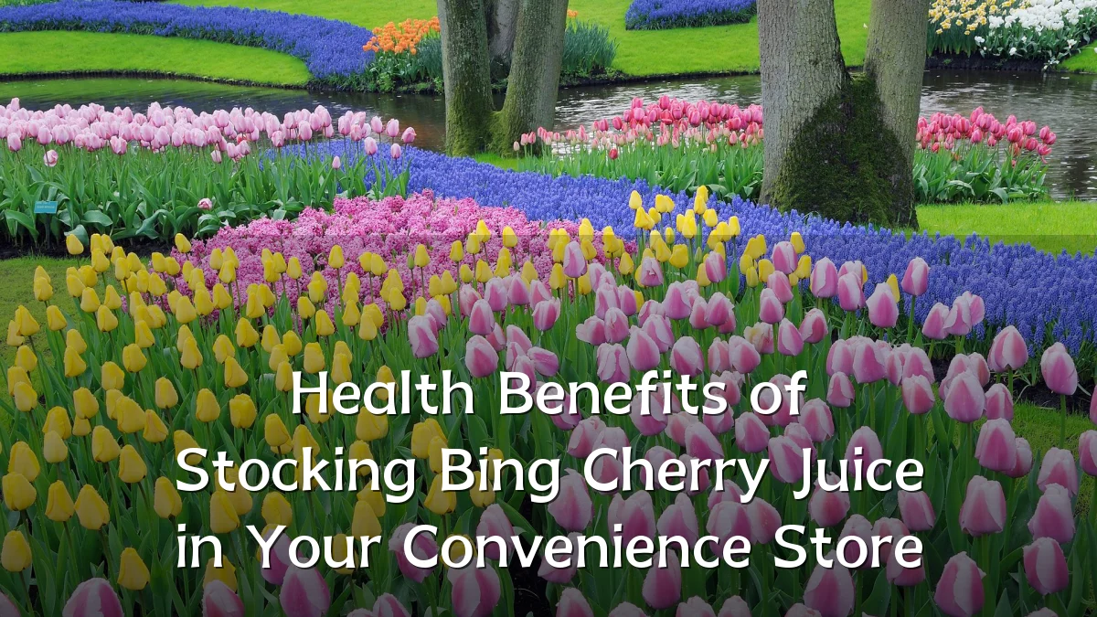 Health Benefits of Stocking Bing Cherry Juice in Your Convenience Store
