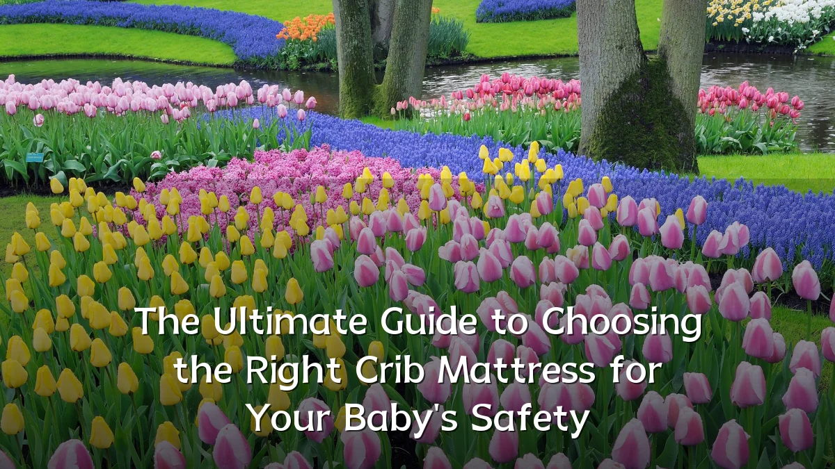 The Ultimate Guide to Choosing the Right Crib Mattress for Your Baby's Safety