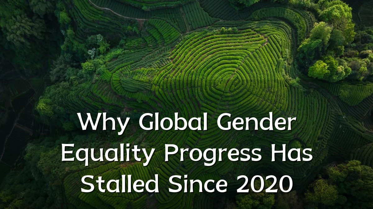 Why Global Gender Equality Progress Has Stalled Since 2020