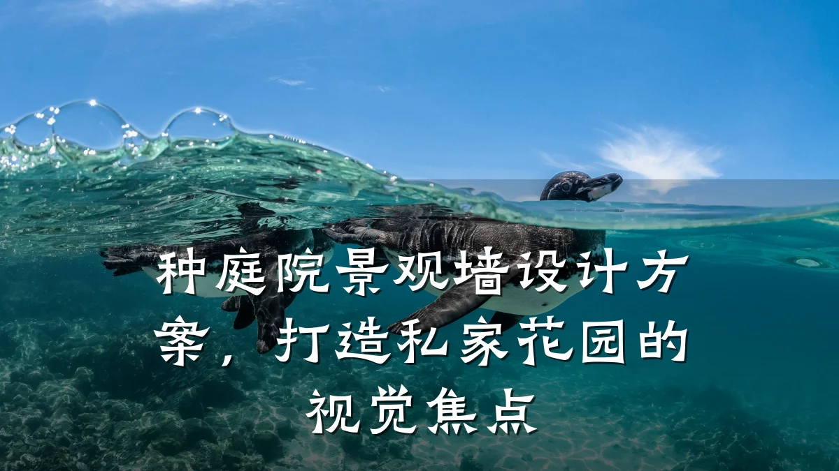 种庭院景观墙设计方案，打造私家花园的视觉焦点