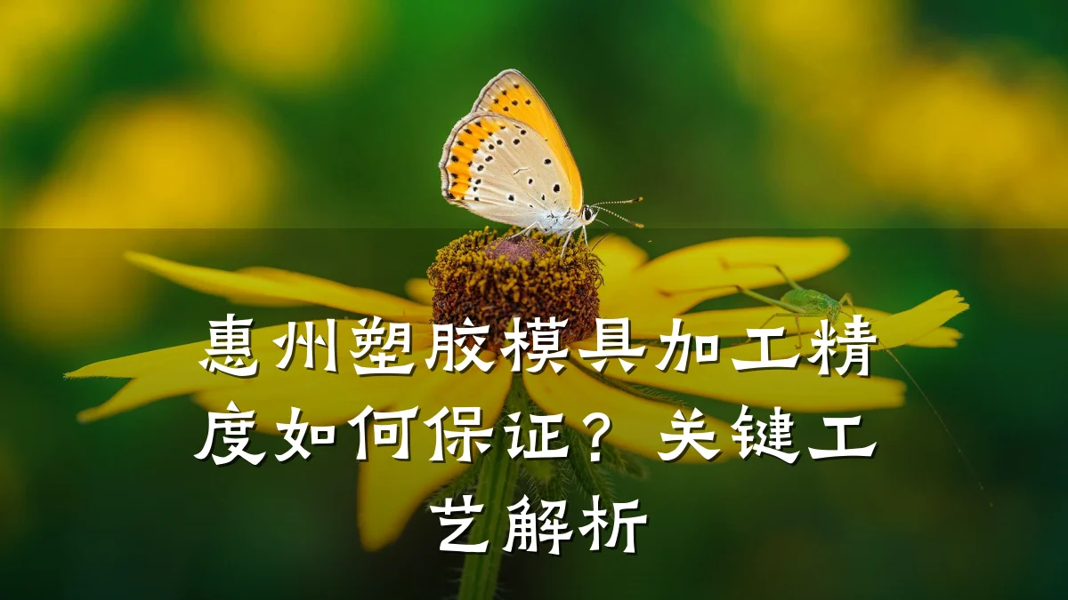 惠州塑胶模具加工精度如何保证？关键工艺解析