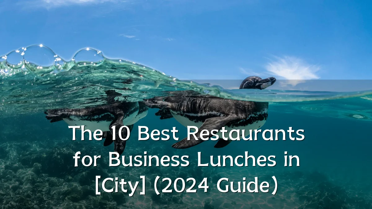 The 10 Best Restaurants for Business Lunches in [City] (2024 Guide)