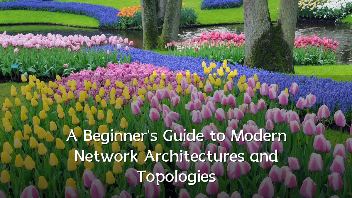 A Beginner's Guide to Modern Network Architectures and Topologies