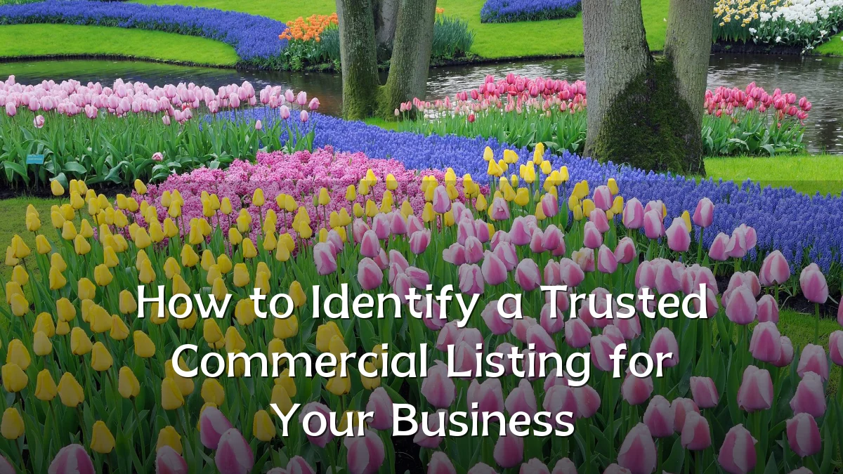 How to Identify a Trusted Commercial Listing for Your Business