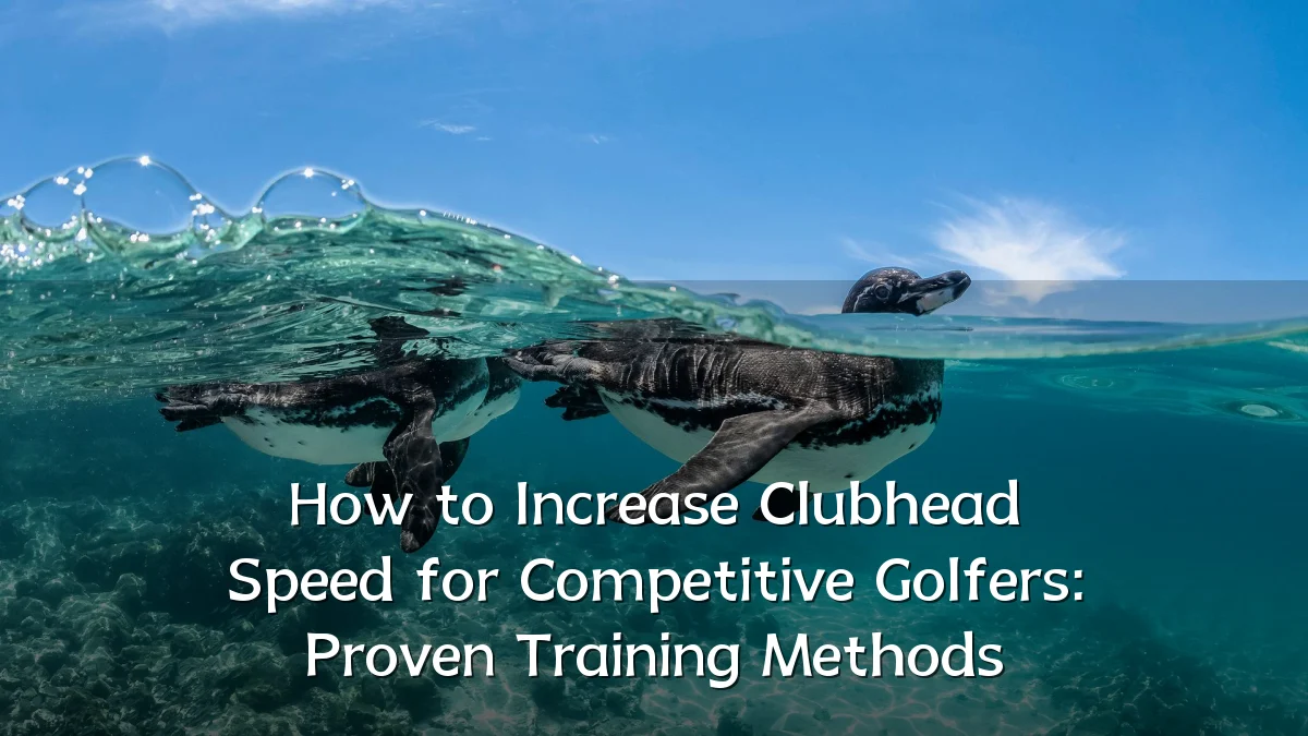 How to Increase Clubhead Speed for Competitive Golfers: Proven Training Methods