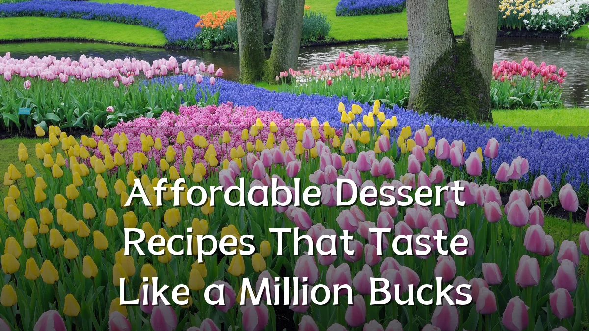 Affordable Dessert Recipes That Taste Like a Million Bucks
