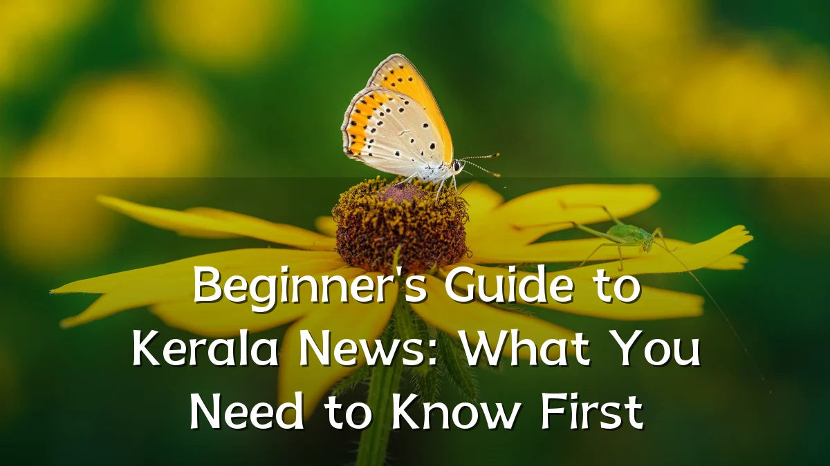 Beginner's Guide to Kerala News: What You Need to Know First