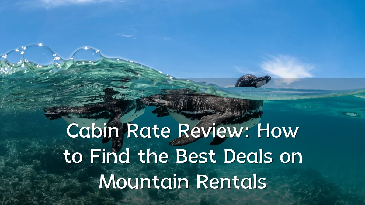 Cabin Rate Review: How to Find the Best Deals on Mountain Rentals
