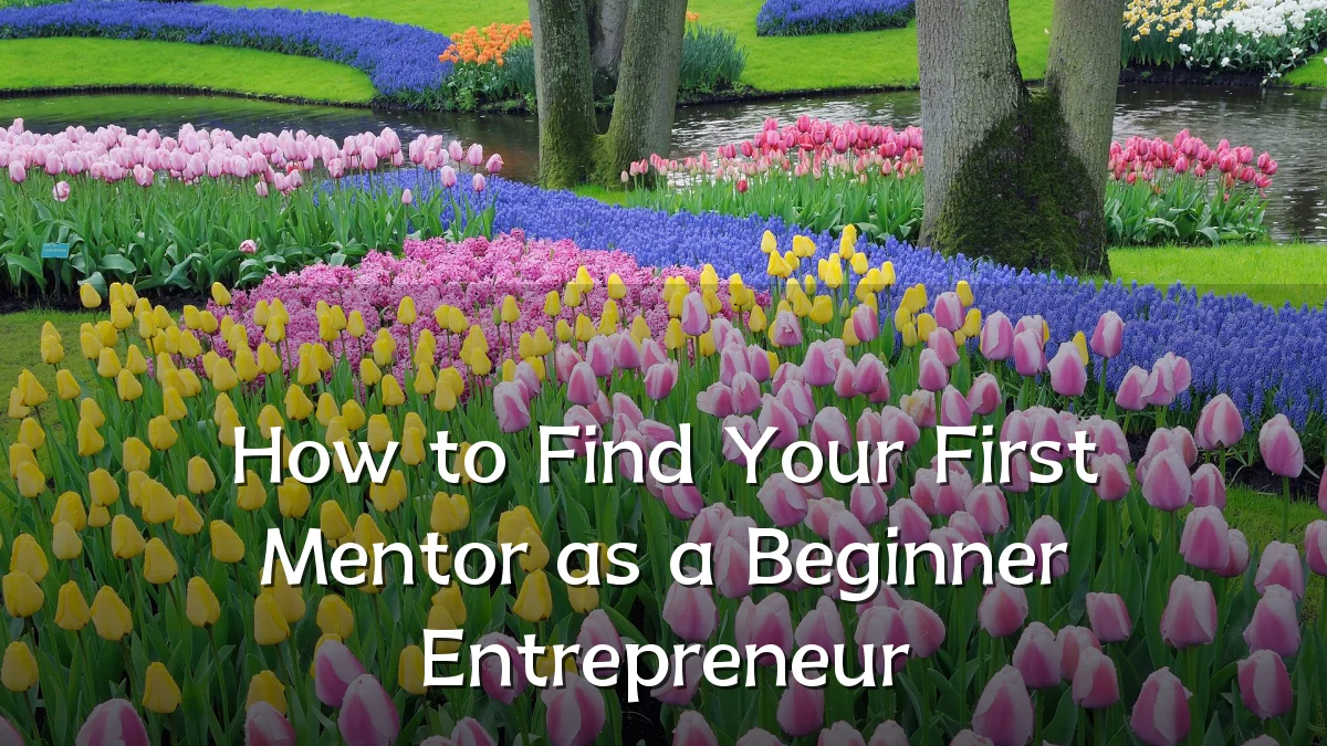 How to Find Your First Mentor as a Beginner Entrepreneur