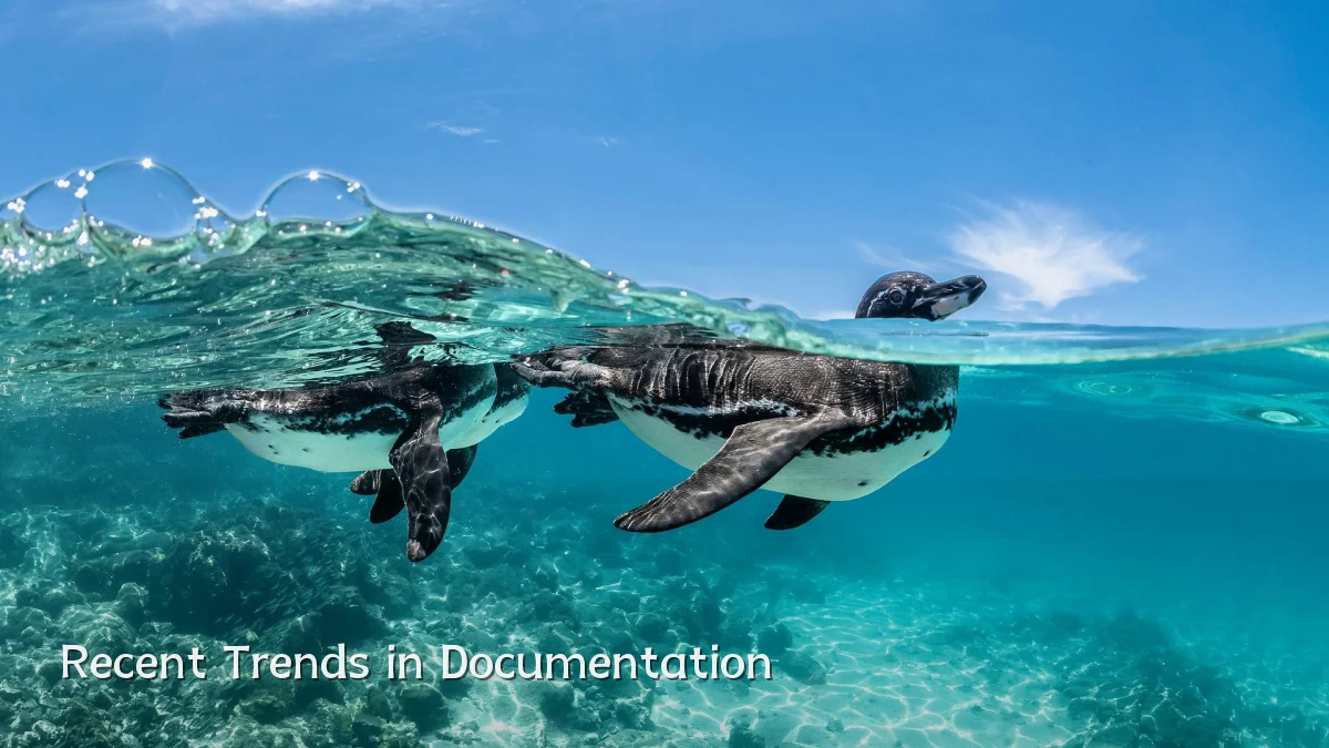 Recent Trends in Documentation
