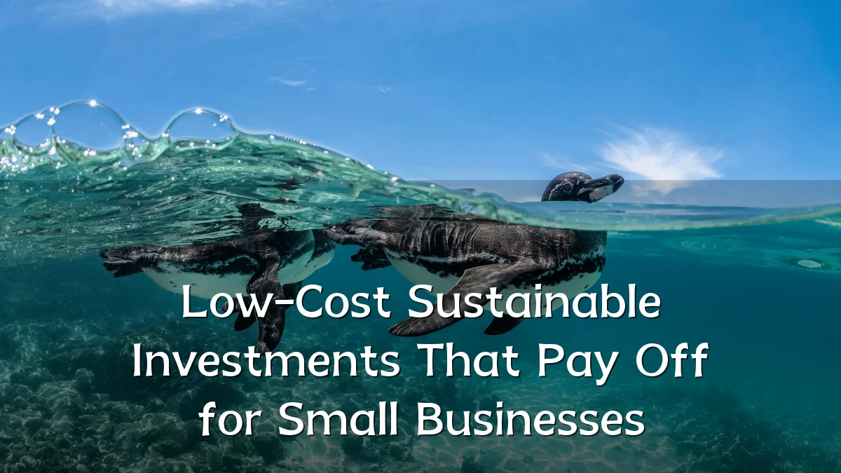 Low-Cost Sustainable Investments That Pay Off for Small Businesses
