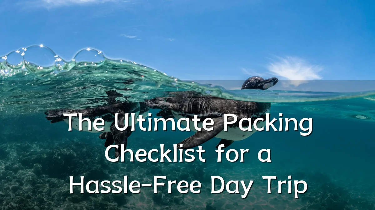 The Ultimate Packing Checklist for a Hassle-Free Day Trip