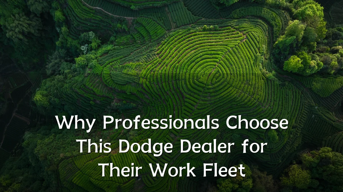 Why Professionals Choose This Dodge Dealer for Their Work Fleet