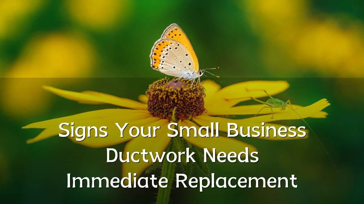 Signs Your Small Business Ductwork Needs Immediate Replacement