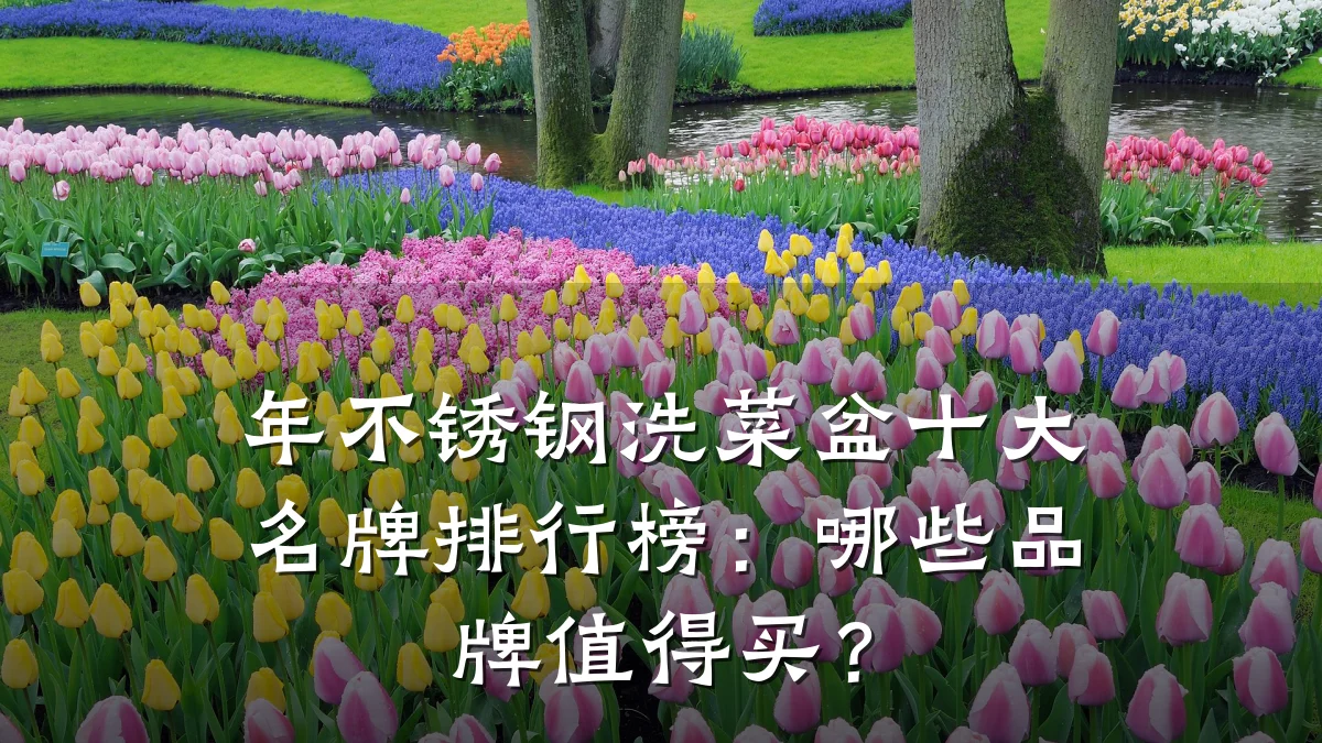 年不锈钢洗菜盆十大名牌排行榜:哪些品牌值得买?