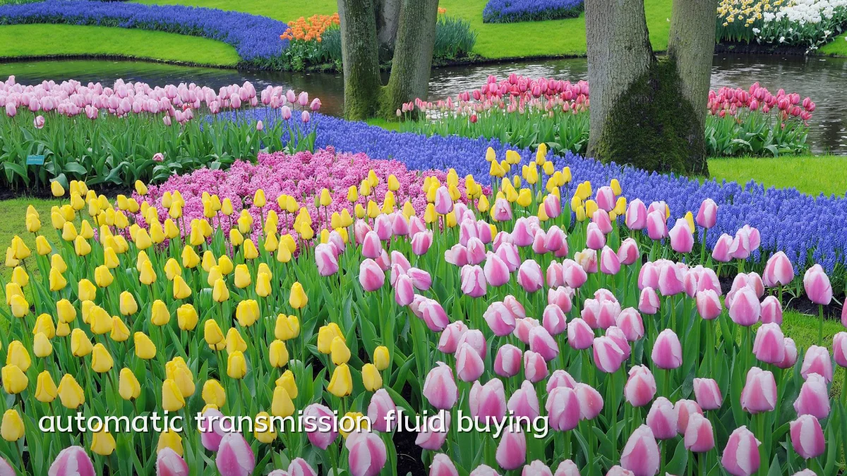 automatic transmission fluid buying