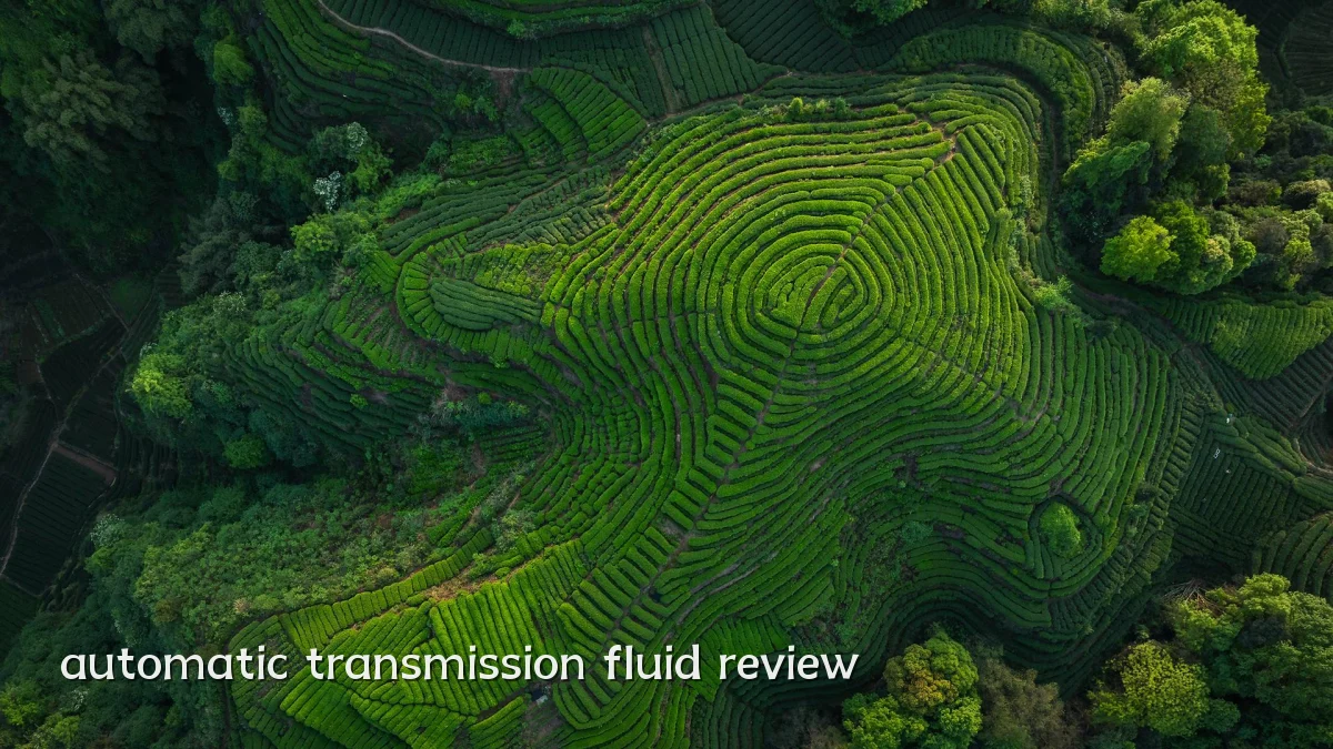 automatic transmission fluid review