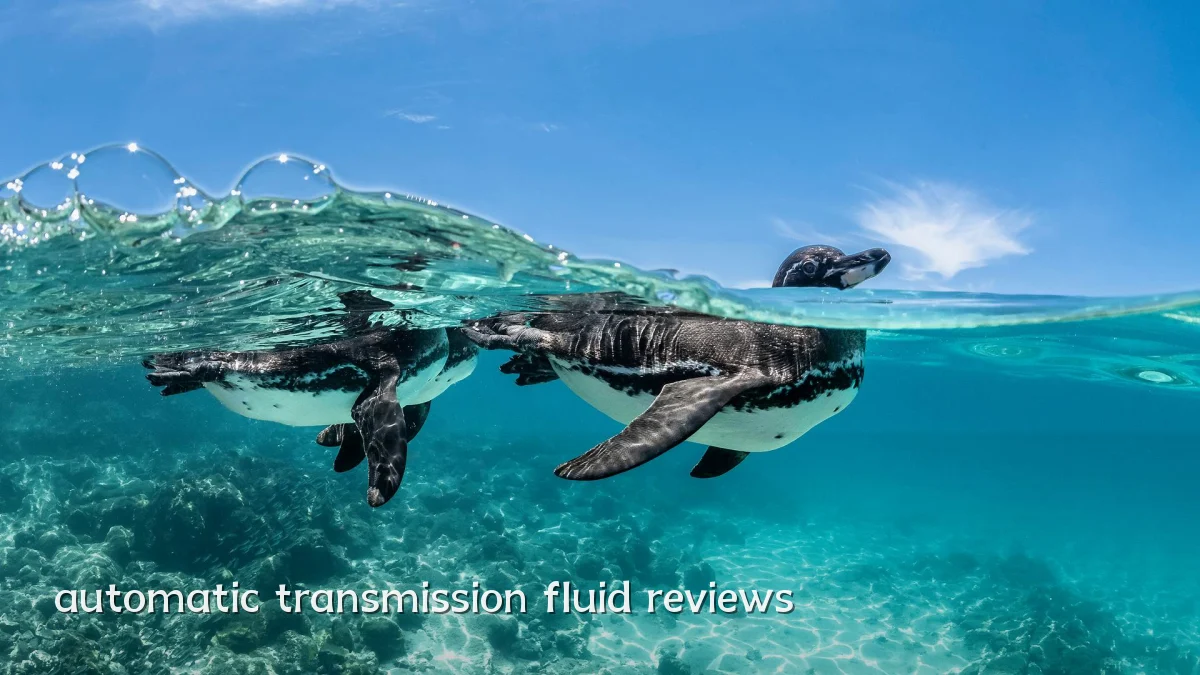 automatic transmission fluid reviews