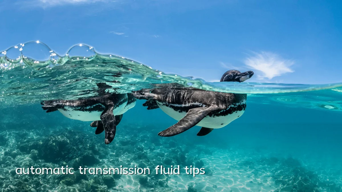automatic transmission fluid tips