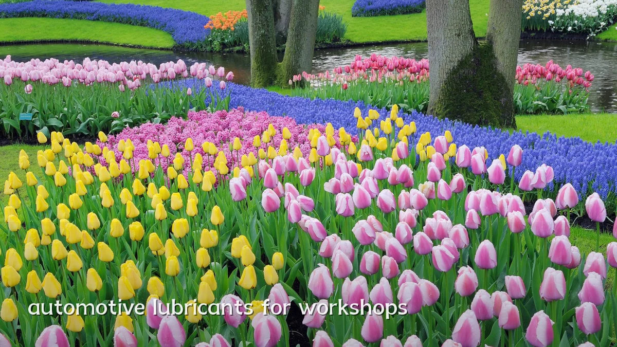 automotive lubricants for workshops