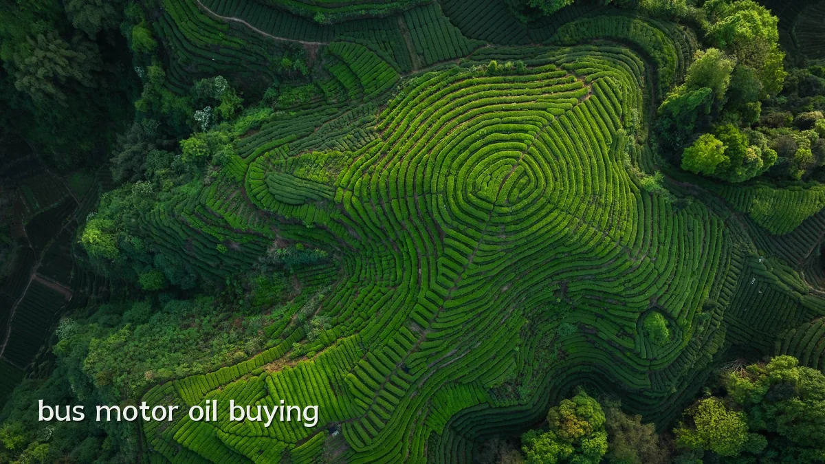 bus motor oil buying