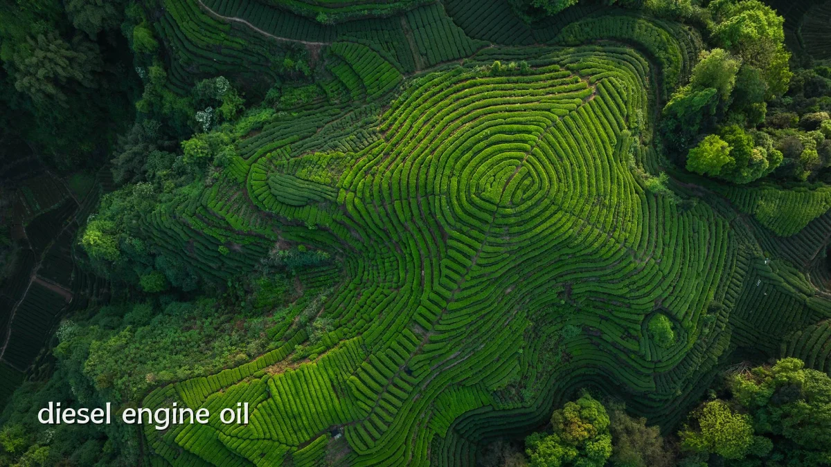 diesel engine oil
