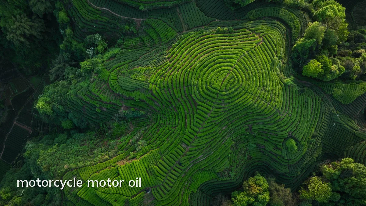motorcycle motor oil