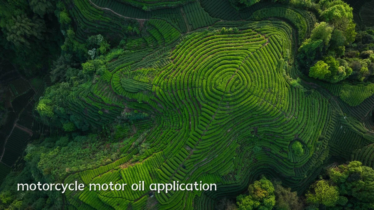 motorcycle motor oil application