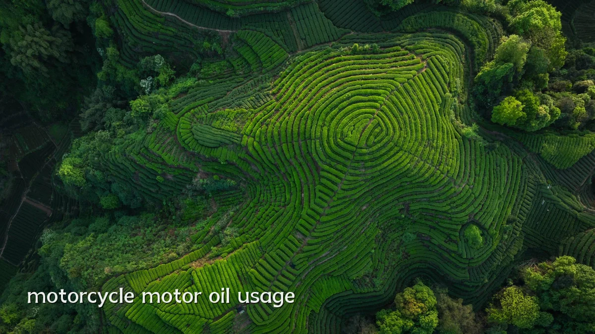 motorcycle motor oil usage