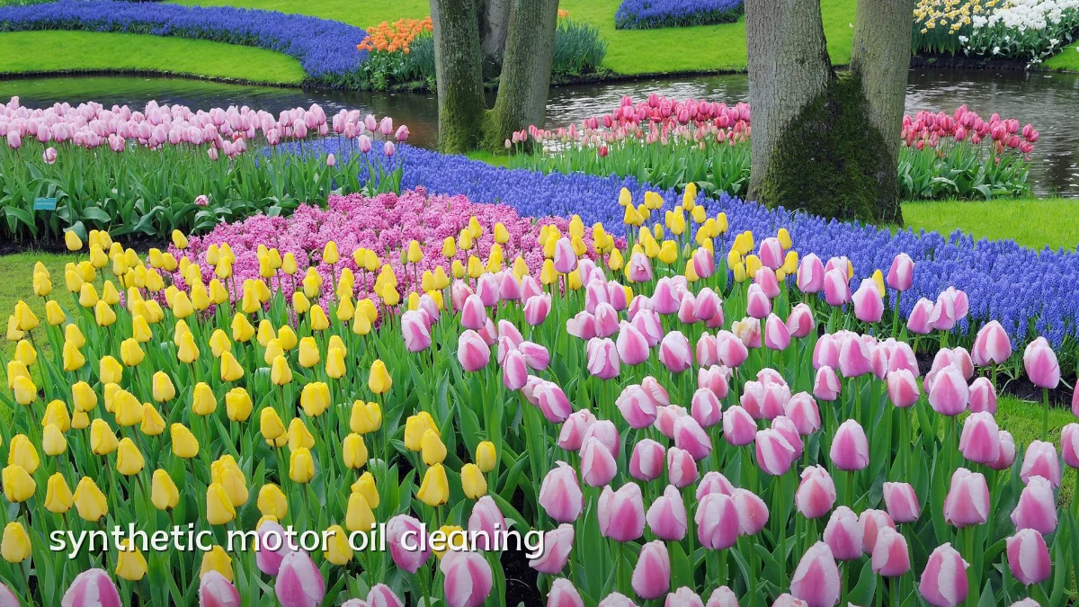 synthetic motor oil cleaning