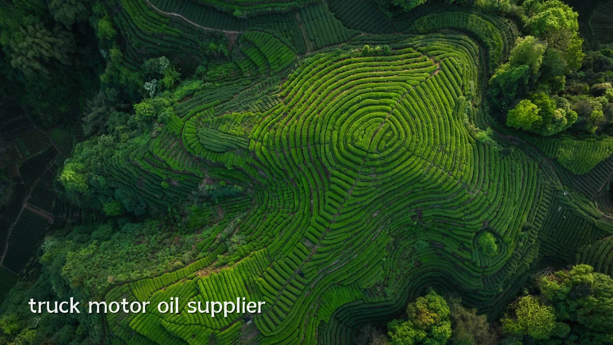 truck motor oil supplier