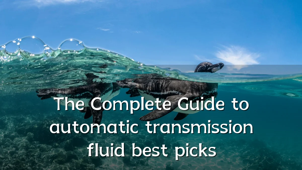 The Complete Guide to automatic transmission fluid best picks