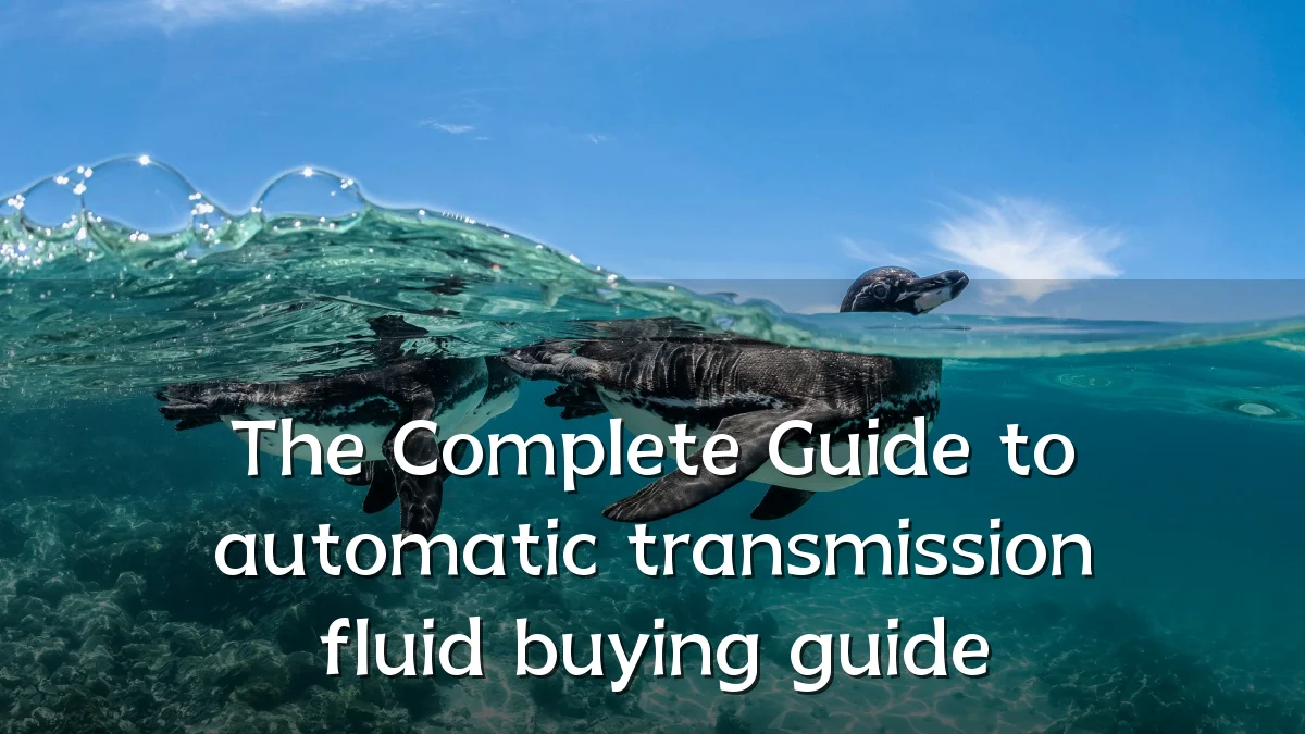 The Complete Guide to automatic transmission fluid buying guide
