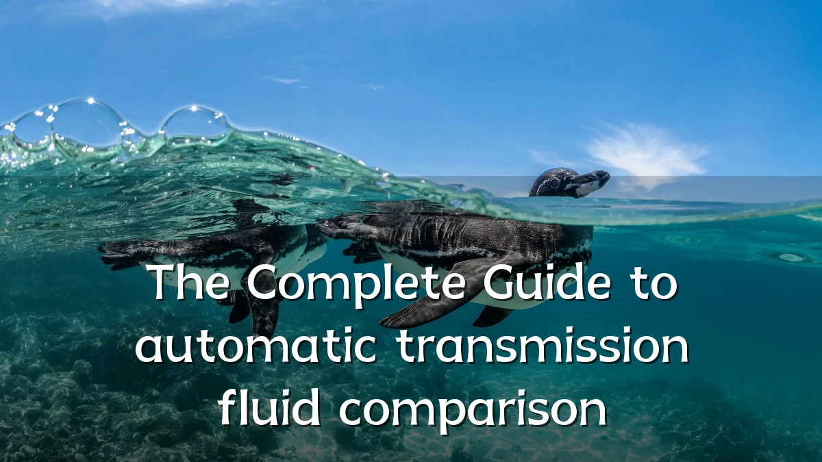 The Complete Guide to automatic transmission fluid comparison