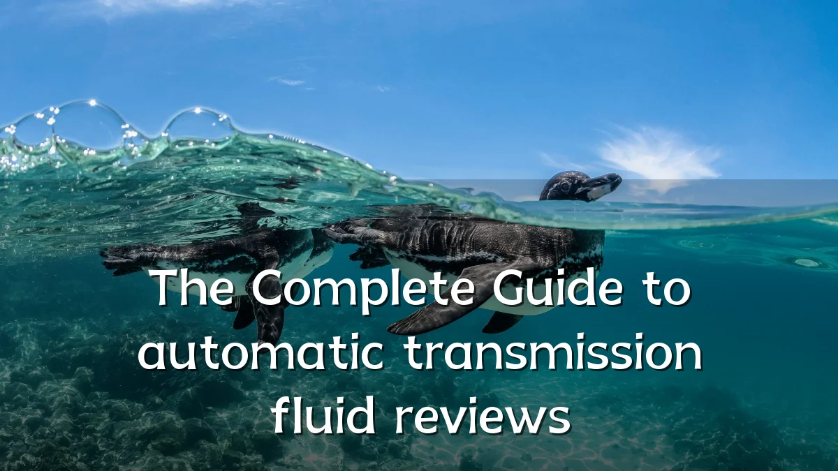 The Complete Guide to automatic transmission fluid reviews