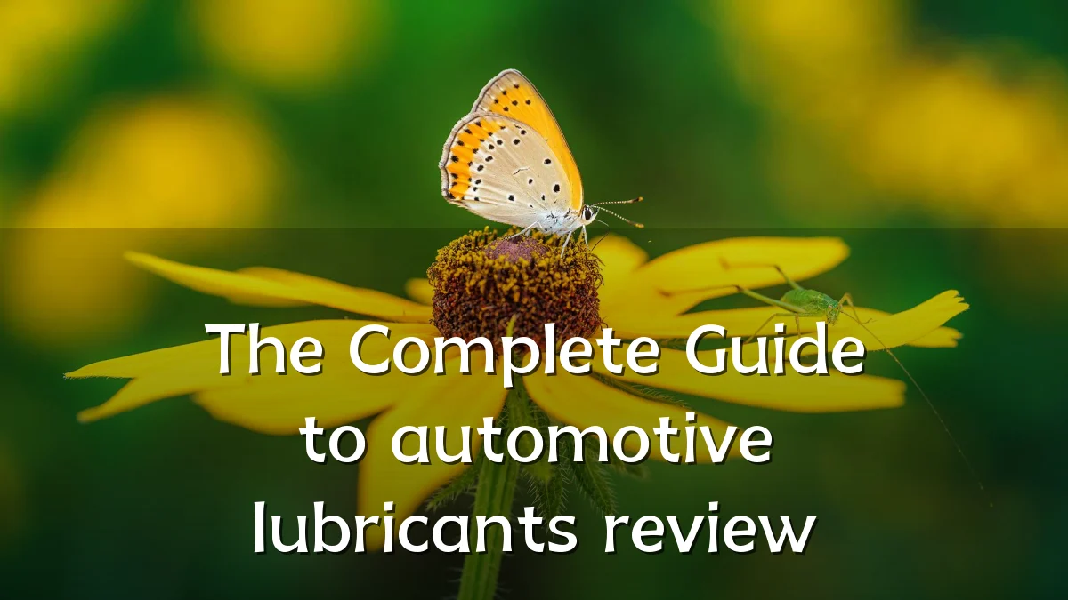 The Complete Guide to automotive lubricants review