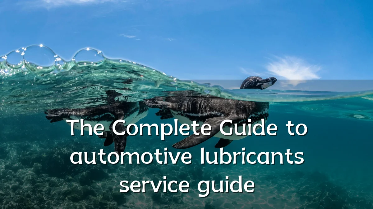 The Complete Guide to automotive lubricants service guide