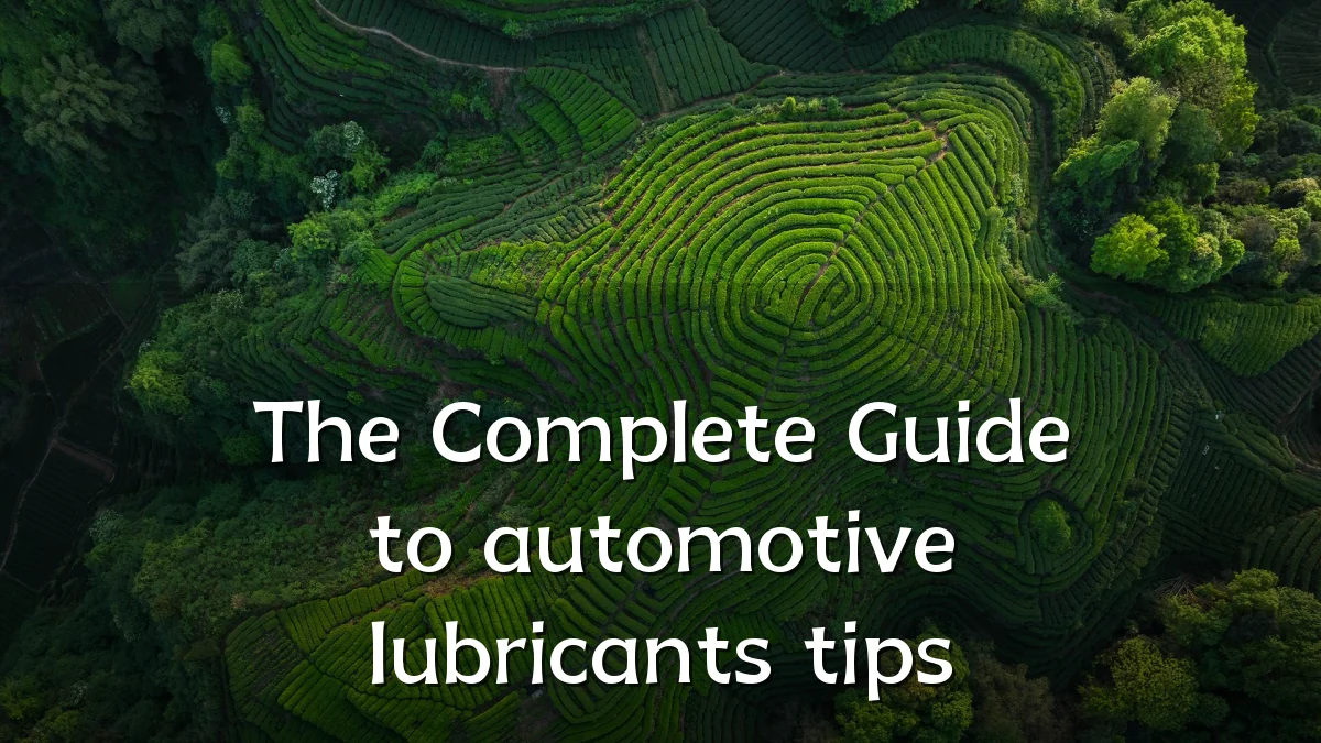 The Complete Guide to automotive lubricants tips