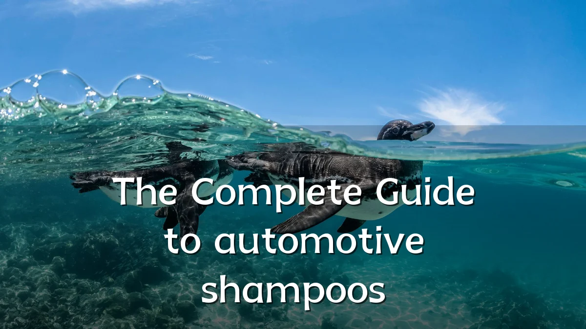 The Complete Guide to automotive shampoos