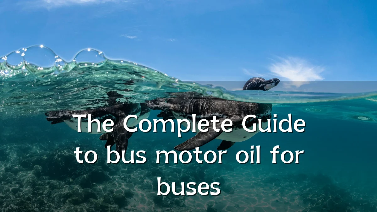 The Complete Guide to bus motor oil for buses